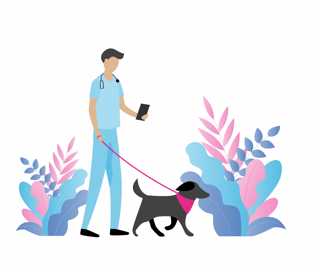 SW website Illustrations-03 Doctor walking dog