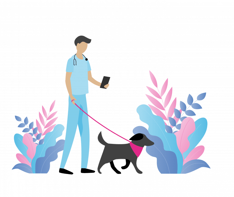 SW website Illustrations-03 Doctor walking dog